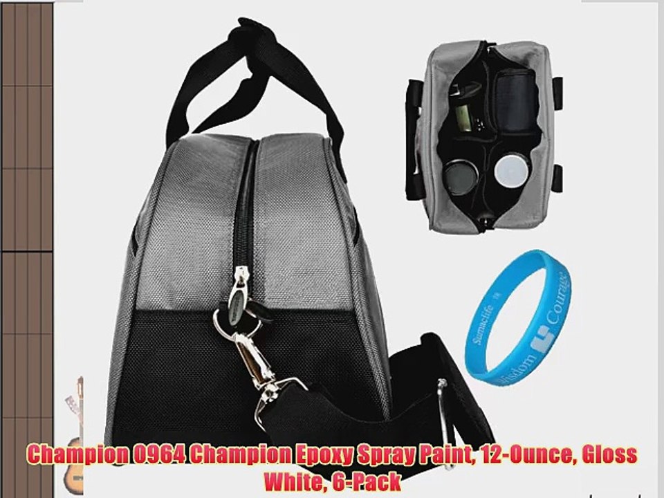 Champion 0964 Champion Epoxy Spray Paint 12-Ounce Gloss White 6-Pack