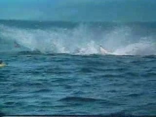Kayak-de-mer-dangereux