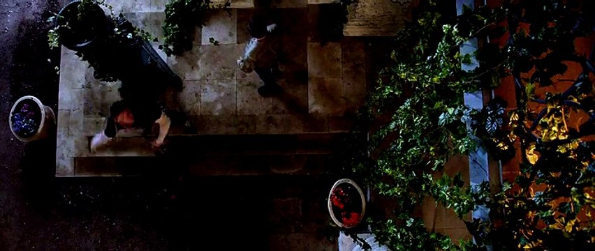 Ёлки лохматые Ёлки лохматые 2015 hd скачать