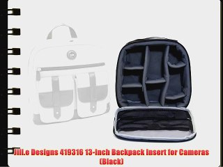 Jill.e Designs 419316 13-Inch Backpack Insert for Cameras (Black)