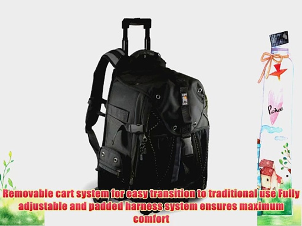 Ape Case Pro Digital SLR and Video Camera Convertible Rolling Backpack (ACPRO4000)