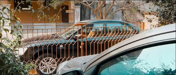 Dr Saleem Song Trailer 04 - Movies Media