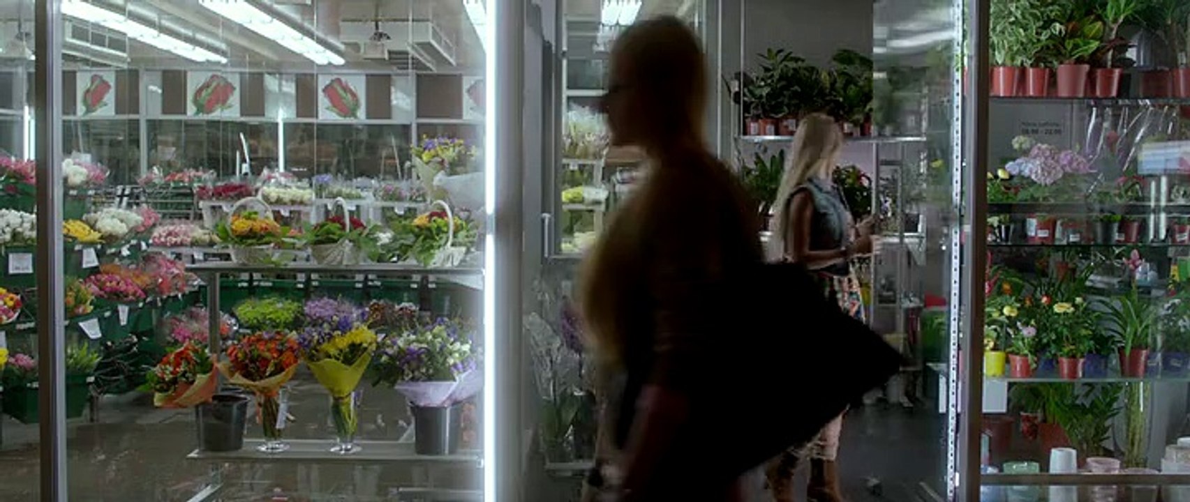 скачать Ёлки лохматые в 3д вертикальная стереопара через торрент