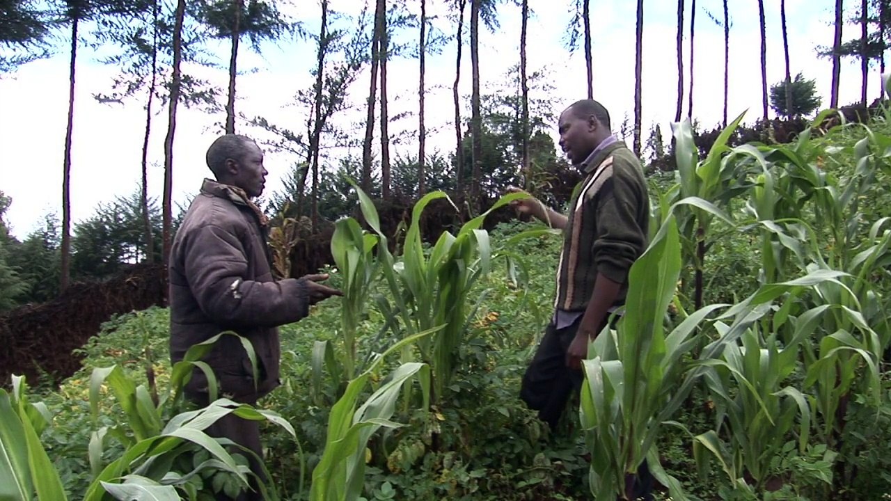 Hilfe zur Selbsthilfe für Bauern in Kenia