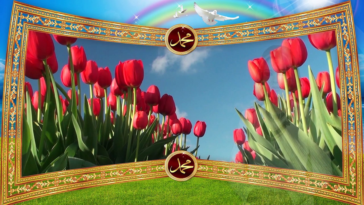 Aysel Vəlizadə - Peyğəmbərimiz (s.ə.v) zəngin idi