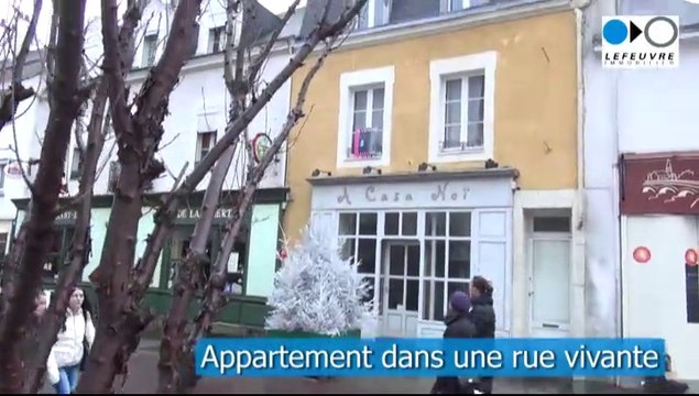 Saint-Nazaire (44) - Appartement rénové à vendre en centre ville, proche Ruban Bleu