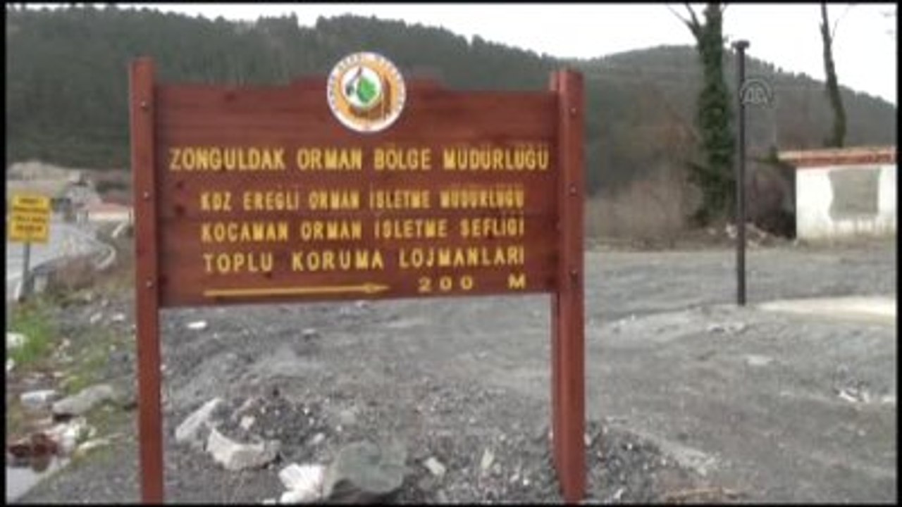 Alaplı'daki Orman Yangınında Soğutma Çalışmaları Yapılıyor