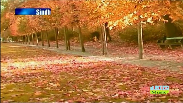 Akelai By Aashiq Nizamani -Sindh Tv-Sindhi Song