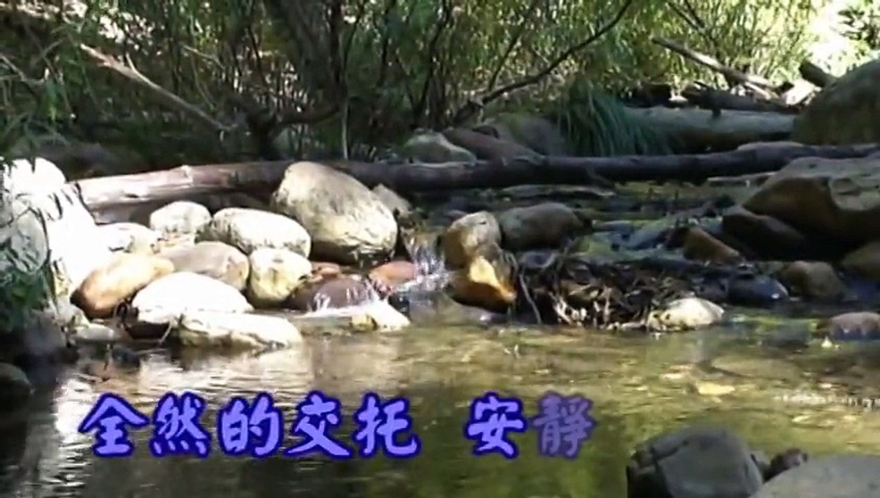 生命的主