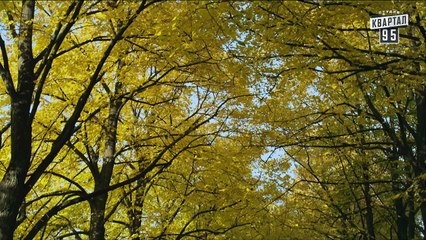 Сваты 6 (6-й сезон, 13-я серия)