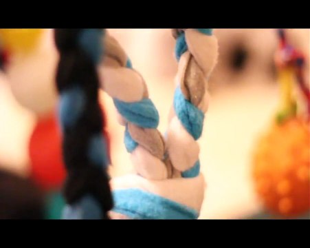 Border Collie litter B - 4 weeks ♡