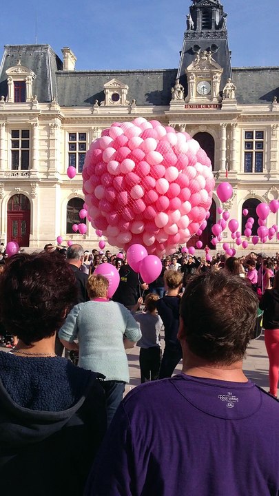 octobre rose Poitiers