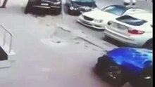 Кот псих напал на собаку и на женщину