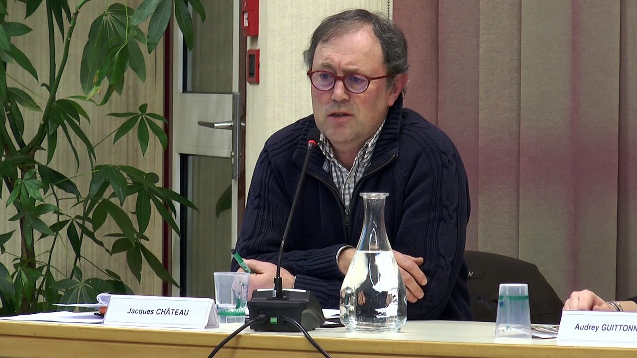 03a. Débat d’Orientation Budgétaire 2015