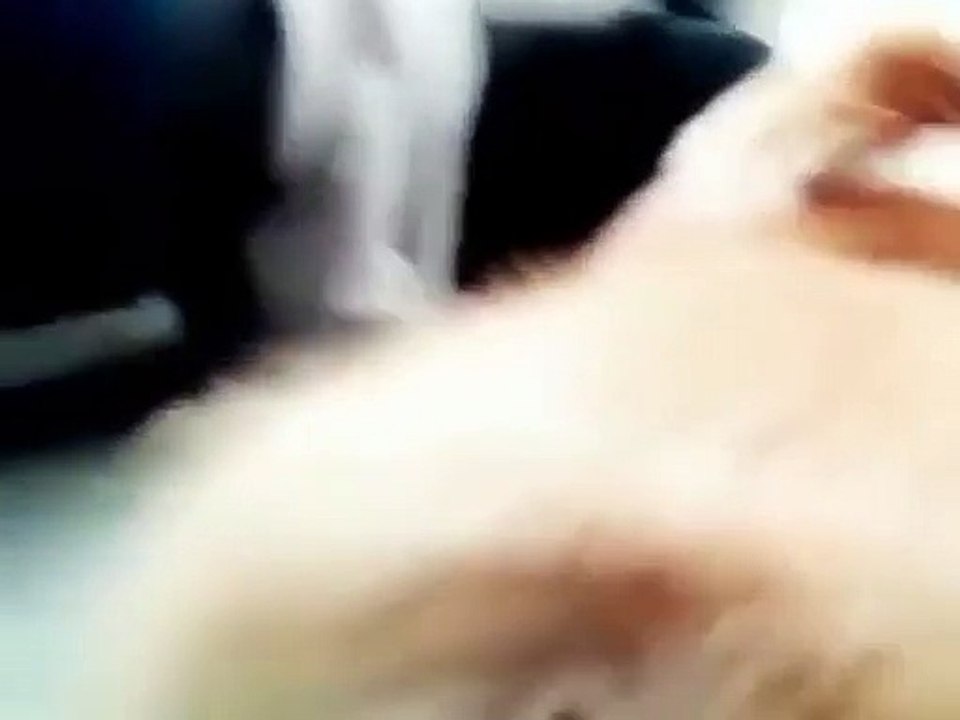 I have never seen a corgi actually bark like this before.