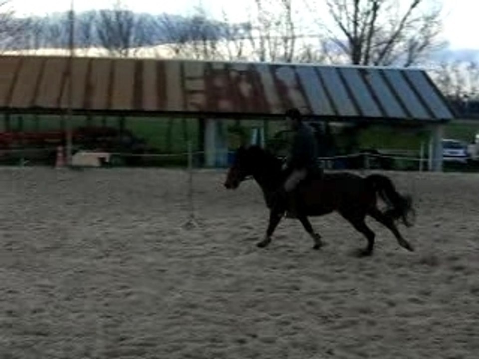 Cours obstacle (Pierre)