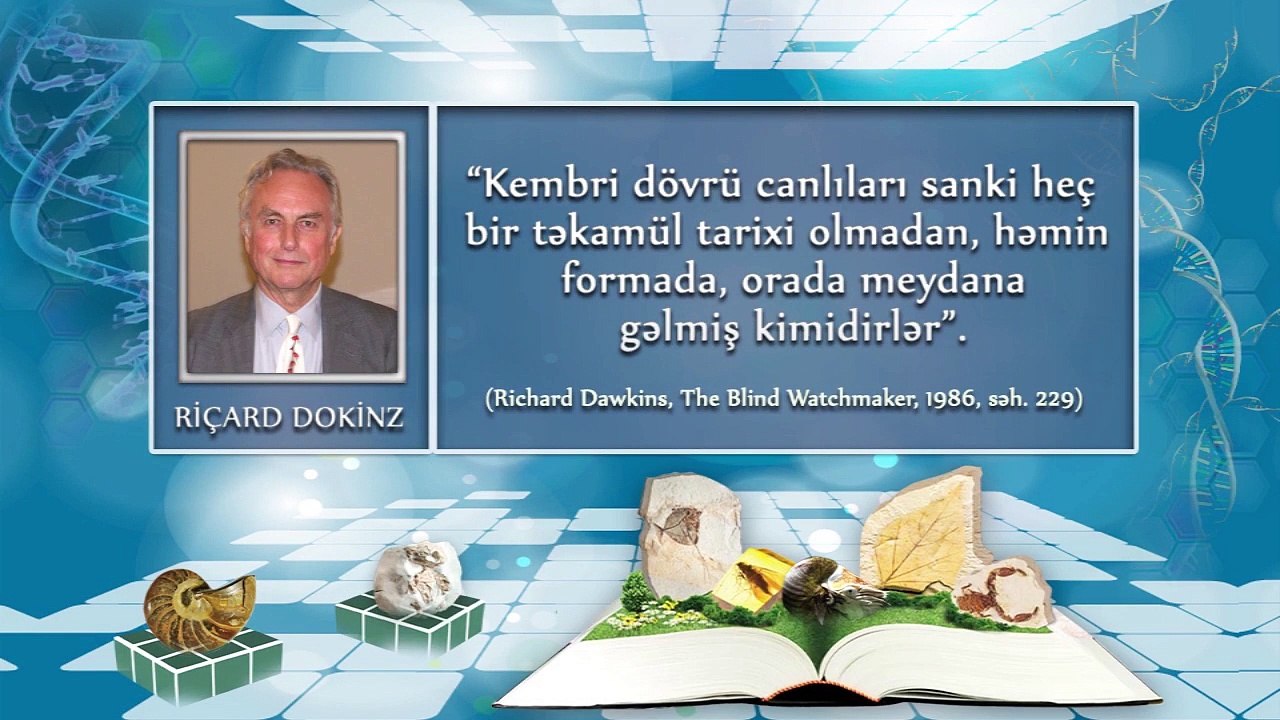 Kembri dövrü fosilləri və növlərin yaradılışı