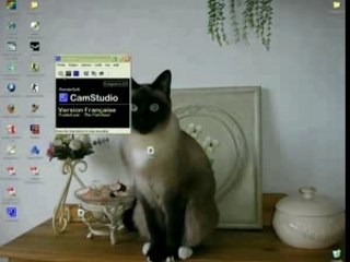 compresser une video avec movie maker