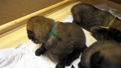 22 jours, on profite toujours, on dort et on s'amuse beaucoup