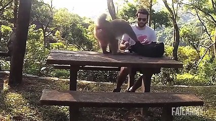 Compilation des meilleures failles du mois !