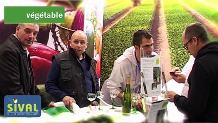 Patrick LUX - GRAINES VOLTZ