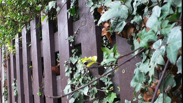 Recycled Plastic Fencing - A Housing Association Case Study