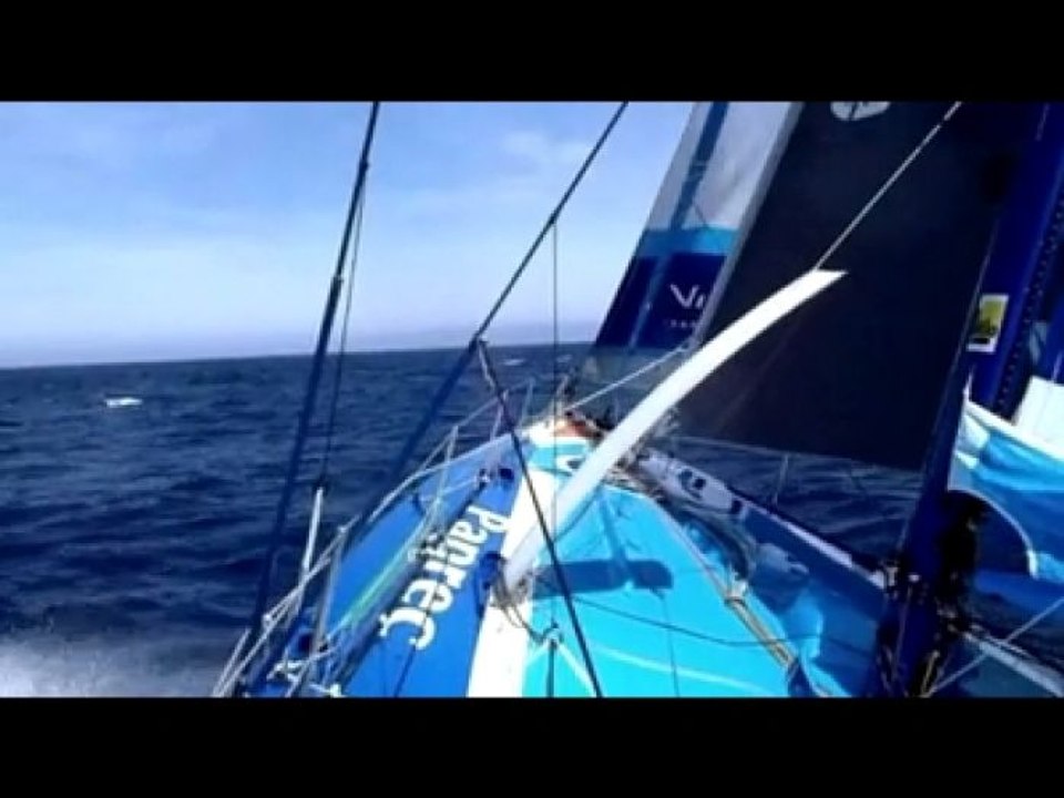 Voile - Vendée Globe : Capoeira du grand large
