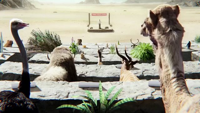 Super Bowl 2015 : les avocats du Mexique