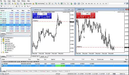 Live Trade Example usdjpy nzdusd Trade 2-2-15 with pipsbank app