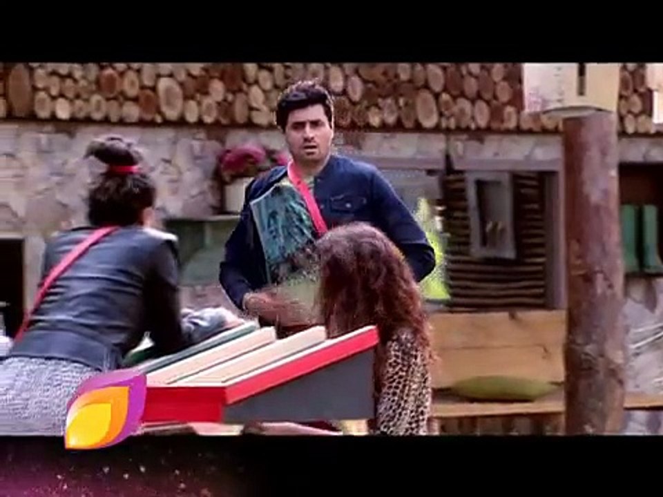 Bigg Boss Halla Bol, Finale Week  Tonight, 9PM