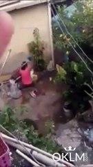 Elle assomme son mari violent avec une brique