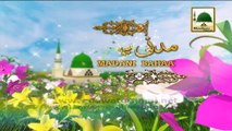 Madani Muzakra 852 - Laddoo Ki Barkat (Madani Bahaar) - Maulana Ilyas Qadri