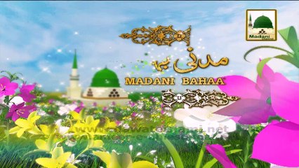 Download Video: Madani Muzakra 852 - Laddoo Ki Barkat (Madani Bahaar) - Maulana Ilyas Qadri