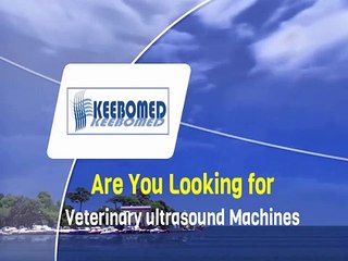 New and Used Veterinary Ultrasounds at Good Prices