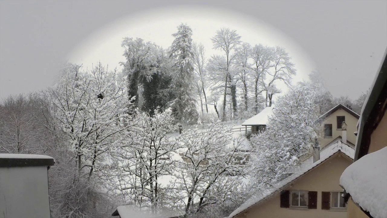 L'hiver vu de ma fenêtre