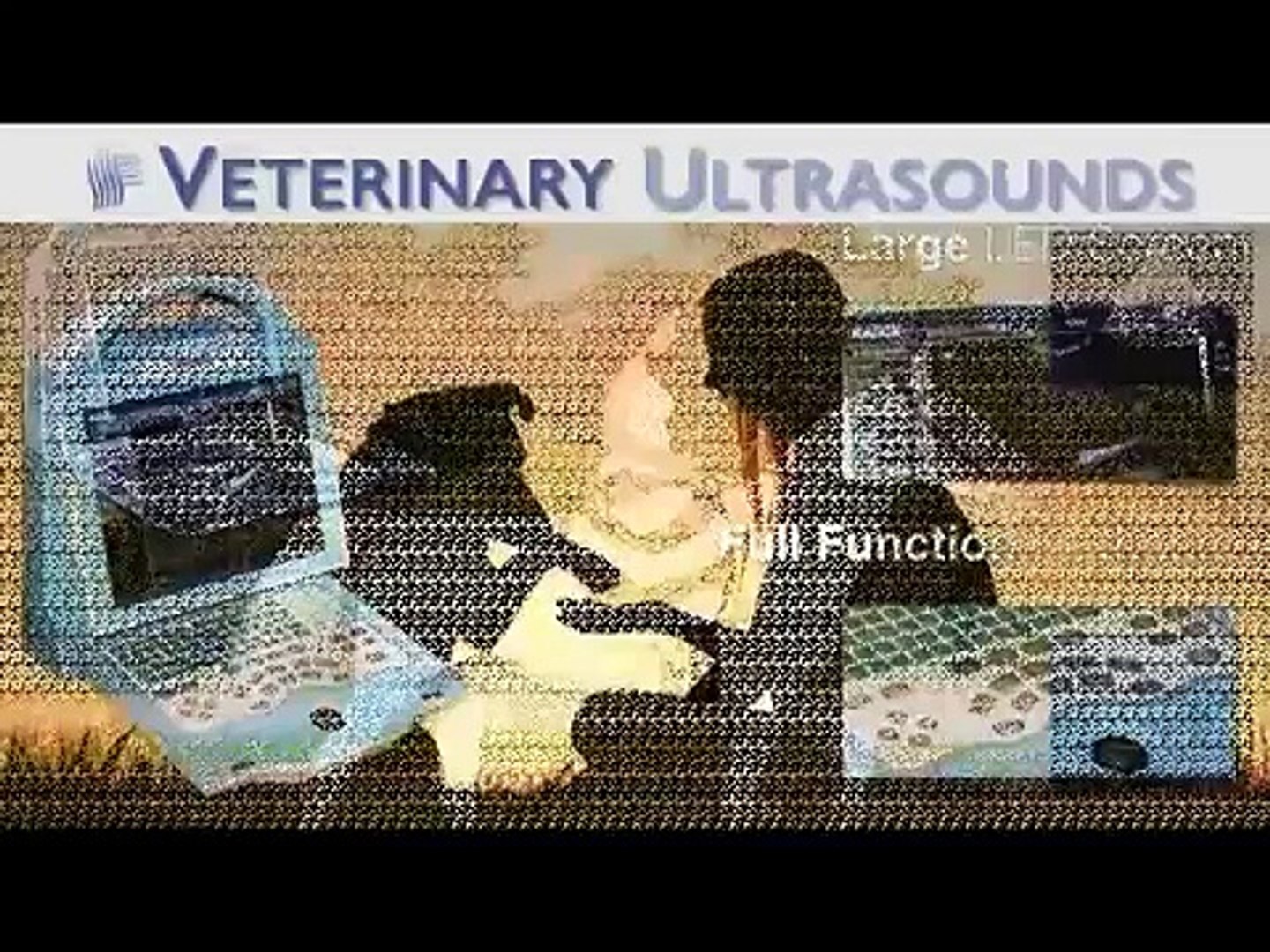 ⁣Veterinary Diagnostic Ultrasound Machines for Sale
