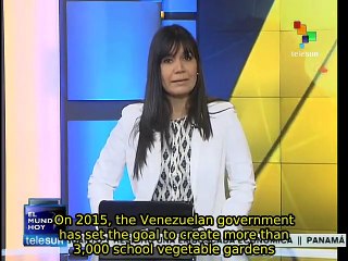 Venezuela promotes food self-sustainability among students