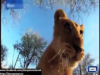 Light stories from all over the world - www.100motion.com