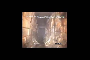 Monster In Sewer Caught On Camera During Survey.