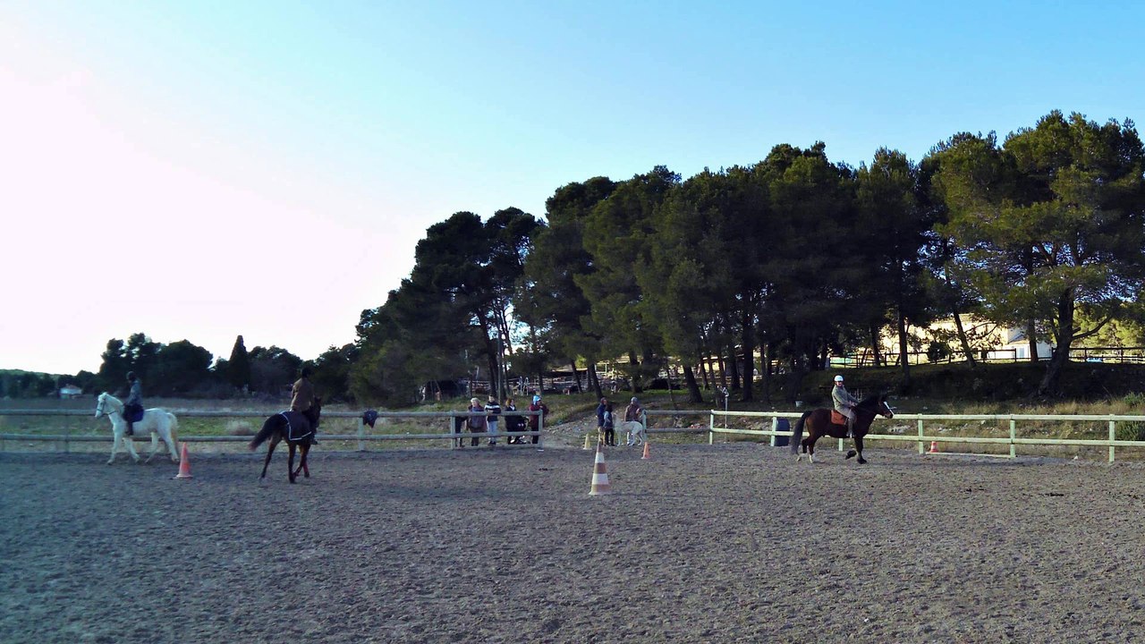 01/02/15 cours de plat