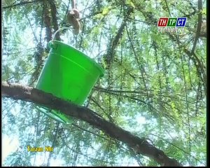 Phim Tarzan Nhí - Tập 36 Full - Phim Thiếu Nhi Hay