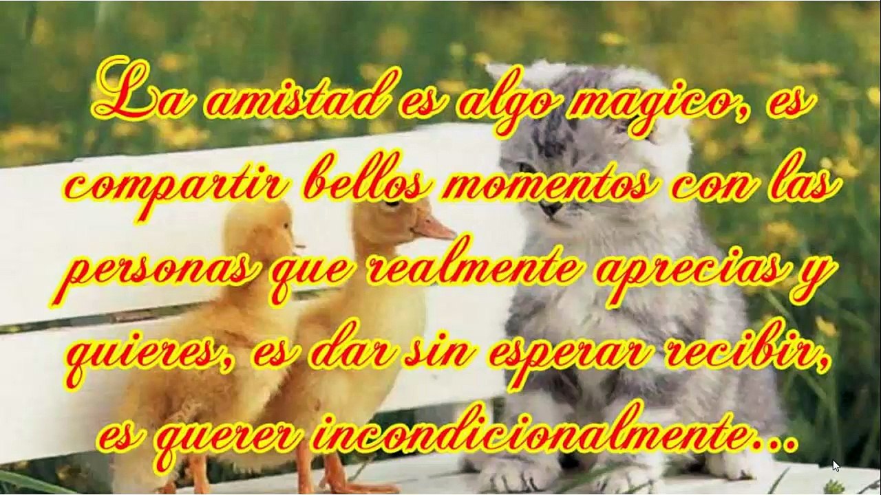 Frases Bonitas de Amistad - Palabras Bonitas de Amigos