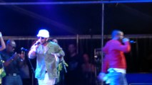 shaggy (live) reggae sun ska 2014