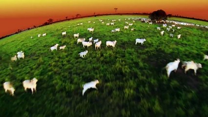 Santa Cruz - Ni te imaginás - Tierra de Alegria - Bolivia