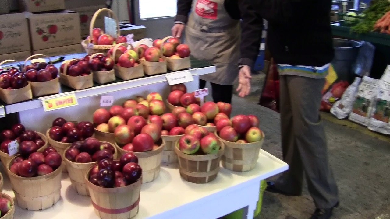 marché du vieux port de québec