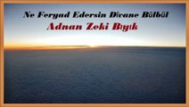 Ne Feryad Edersin Divane Bülbül-Adnan Zeki Bıyık