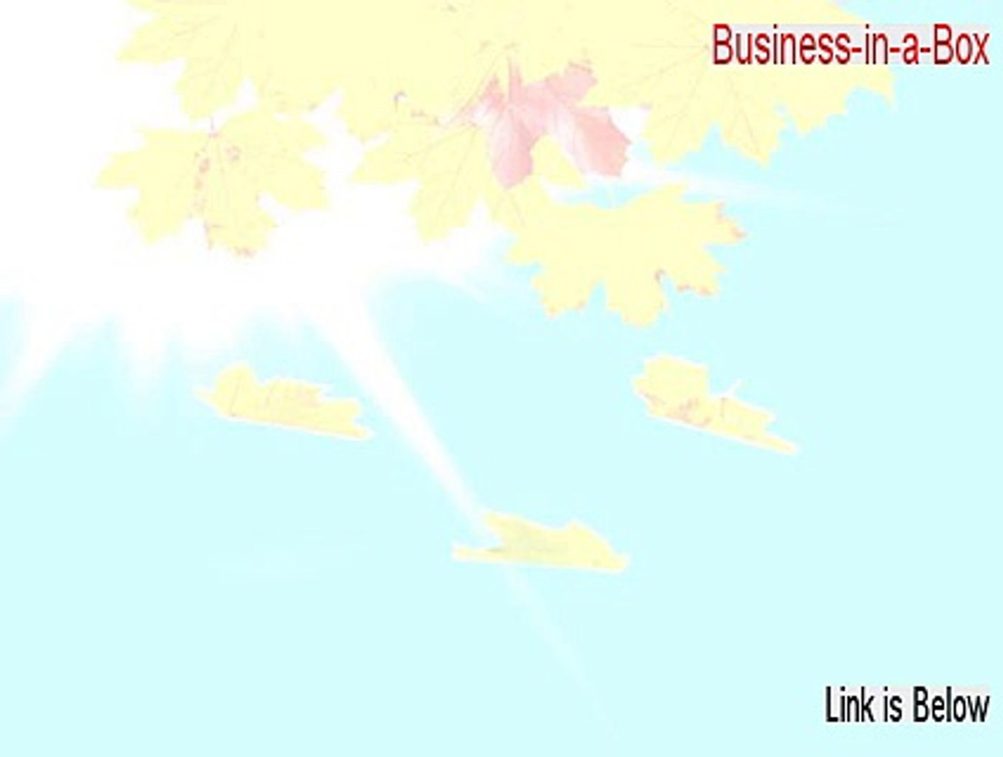 Business In A Box With Crack