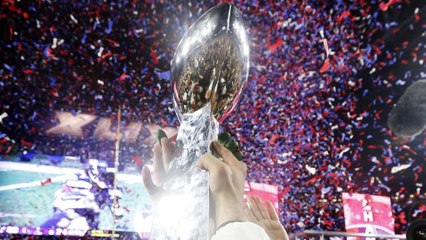 Super Bowl XLIX Greatest Highlights