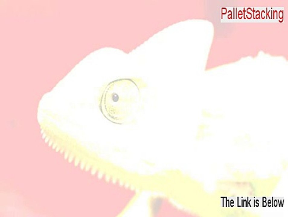 PalletStacking Download Free [Download Here]