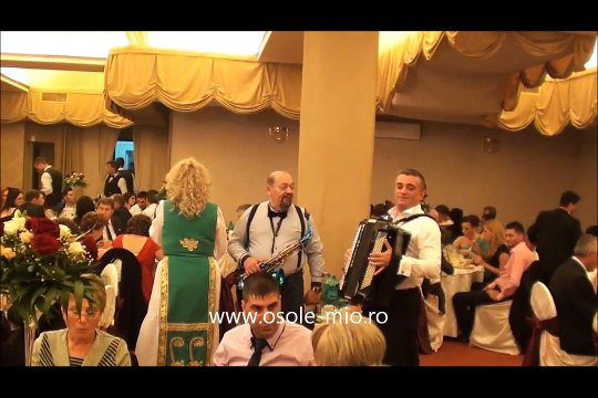 Muzica De Petrecere - Muzica Populara - Muzica Lautareasca 2015 - Muzica De Nunta 2015